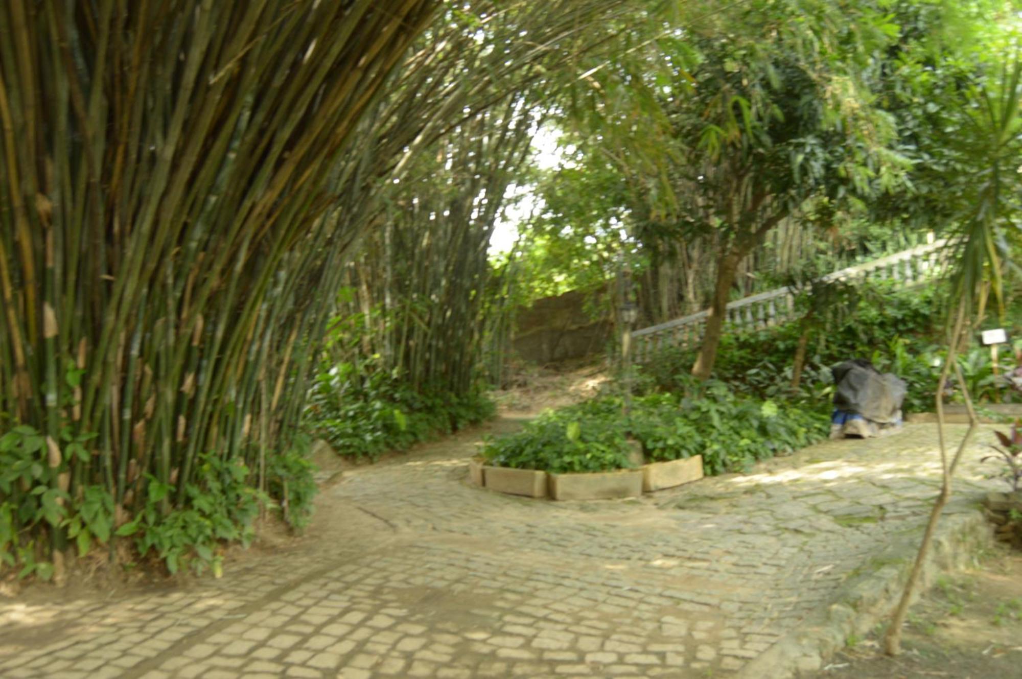 Rio Natureza Adaptado Apart 101 Rio de Janeiro Exteriér fotografie